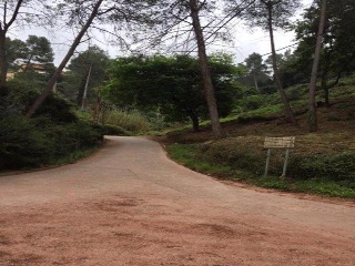 Emili Vendrell 8