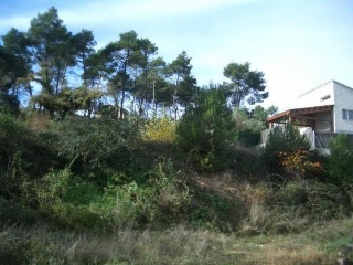 Domingo Roura 3