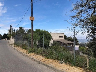 Domingo Roura 5