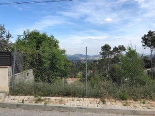 Domingo Roura 6