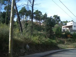 Domingo Roura 7