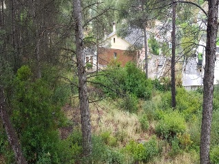 Penedès 2