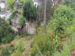 Penedès 3