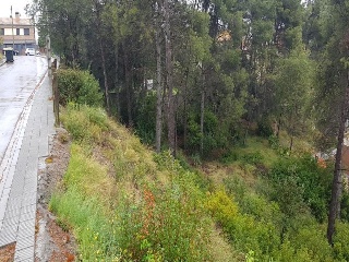 Penedès 24