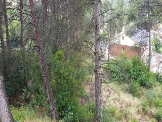 Penedès 25
