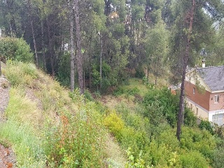 Penedès 28
