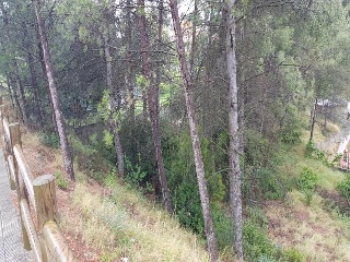 Penedès 29