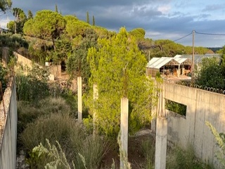 Sagrera 11