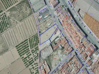 San Jose 2