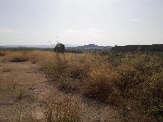 San Jose 5