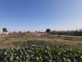 Lorqui 4