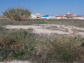 Lorqui 6
