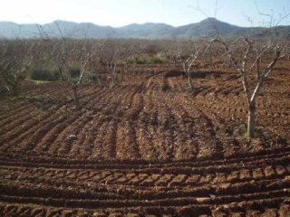 Los Barrancos Y Paganes 3