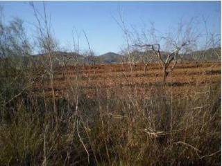 Los Barrancos Y Paganes 4