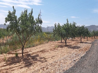 Los Barrancos Y Paganes 9