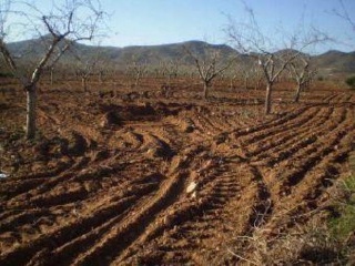 Los Barrancos Y Paganes 11