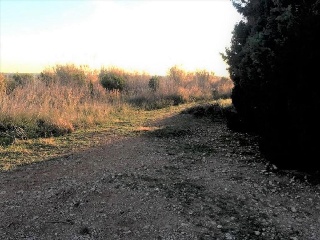 Cerdá 3