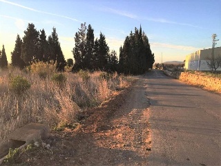 Cerdá 6