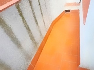 Creu 3