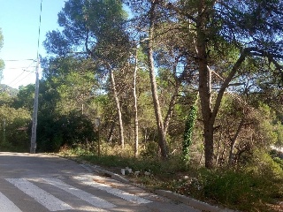 Estacio De Torreblanca 7