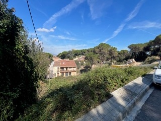 Camèlies 2