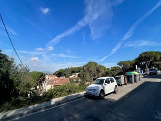 Camèlies 5