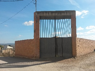 Sant Jordi 3