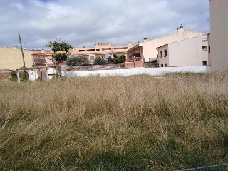 Piverd 10