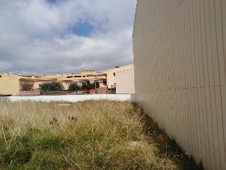 Piverd 11