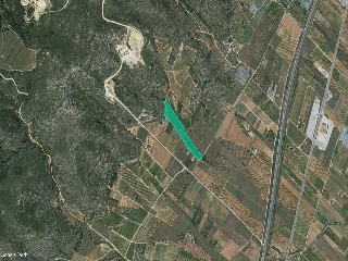 Otros en venta en Torreblanca