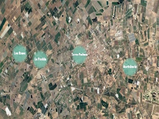 Calvo Sotelo 5
