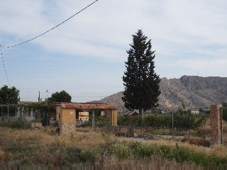 Las Tiesas (Poligono 47 Parcela 190) 7