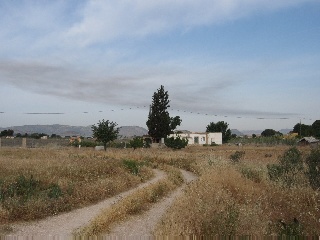 Las Tiesas (Poligono 47 Parcela 190) 8