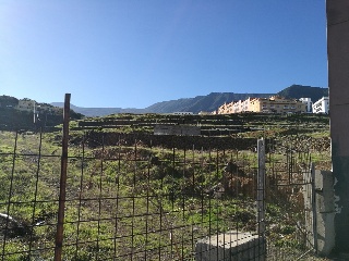 La Carrera 7