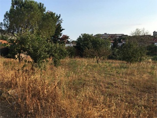 El Quinta De La Casa Nova ( Cl Panedes) 8