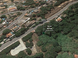 Can Massuet 4