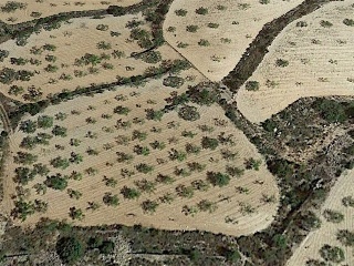 Algayat. Poligono 21 Parcela 585-586 3