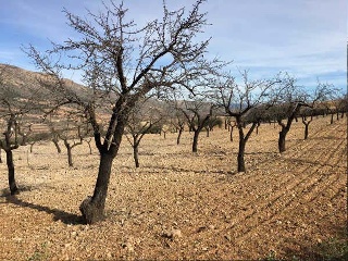 Algayat. Poligono 21 Parcela 585-586 7