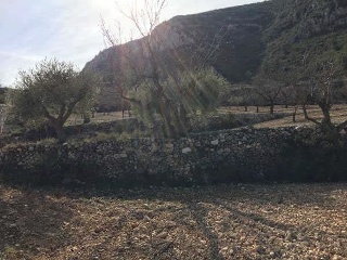 Algayat. Poligono 21 Parcela 585-586 9