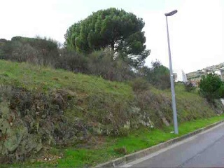 Tèlia 7