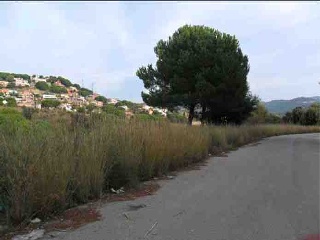 Tèlia 8