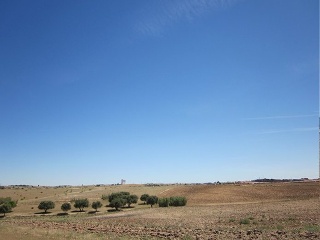 Sector Pau 4, Pol 5 6