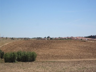Sector Pau 4, Pol 5 8