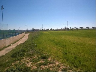 Paraje Del Olivar Del Convento S12 6