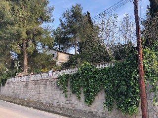 Bosc 3