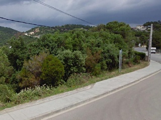 Argimont 4