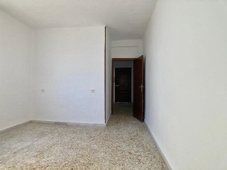 Huertos 7