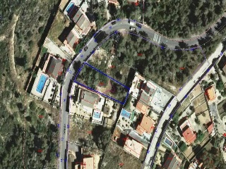 Acàcia 2