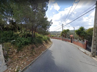 Acàcia 5