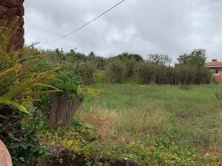 Centro Paraiso (Del) 3